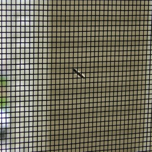 insect/fly mesh