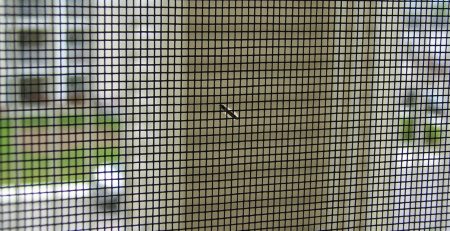 insect/fly mesh