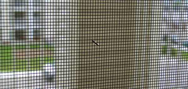 insect/fly mesh