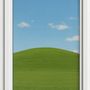 Roller fly screens for windows