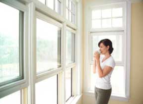 Fly screens for windows