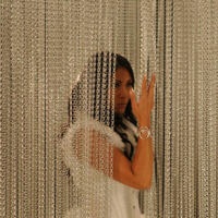 Chain insect screens Chain insect screens