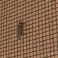 fly mesh