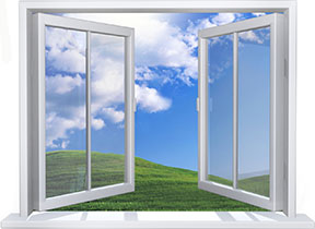 Fly screens for windows