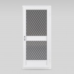 ssdoor1