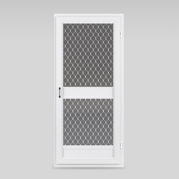 ssdoor1