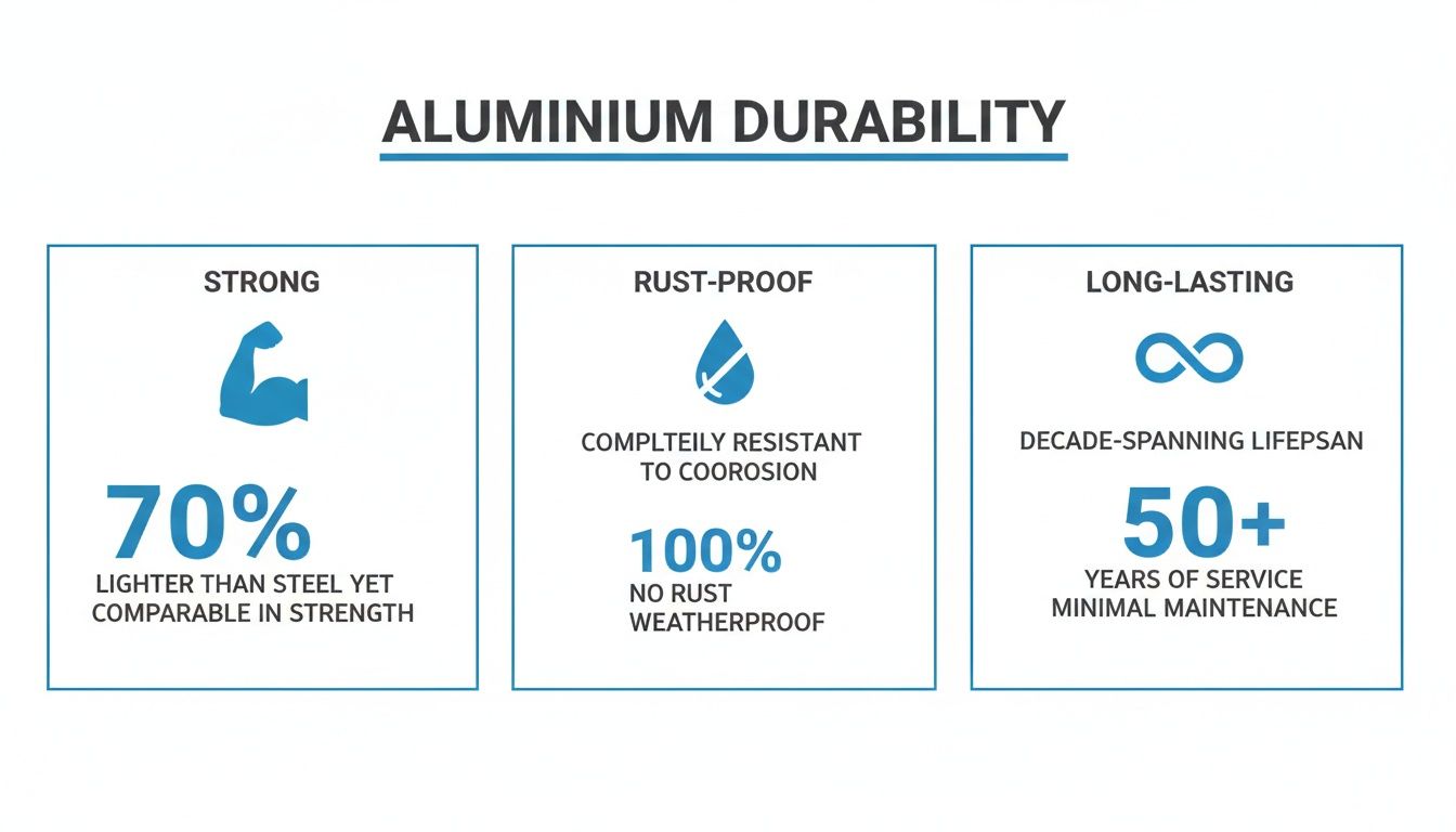 Fly Screens Infographic illustrating aluminium durability: strong, rust-proof, and long-lasting benefits with key statistics.